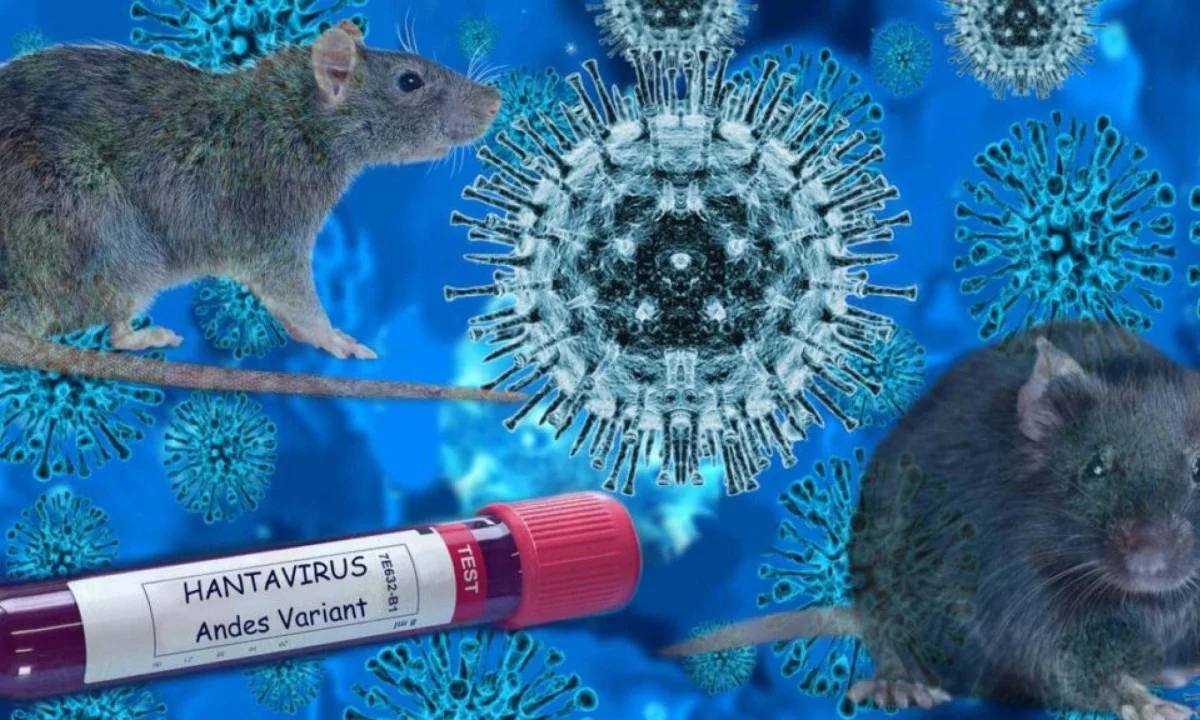 Hantavírus pode virar nova pandemia? Médico do Acre explica